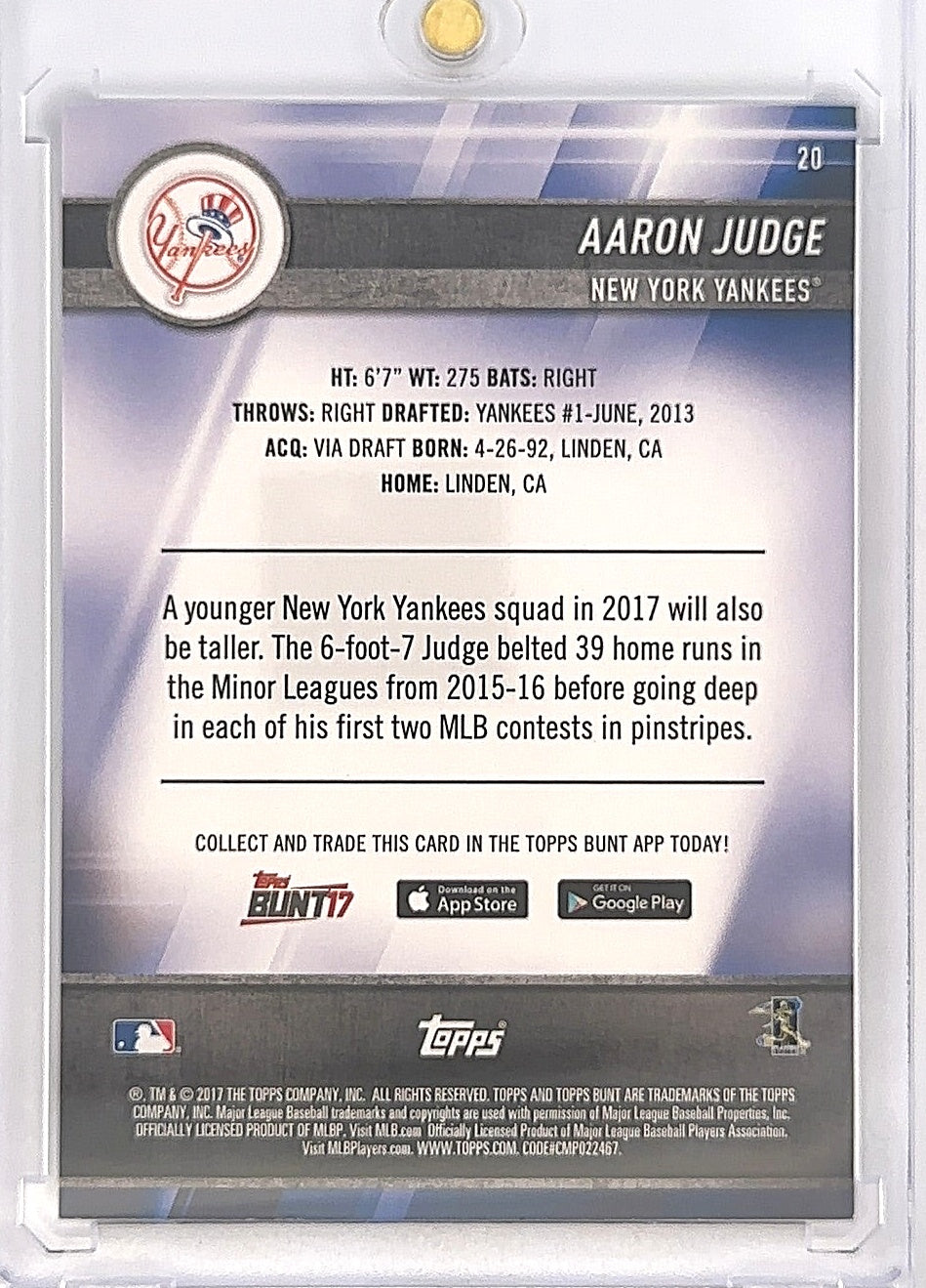 2017 Topps Bunt Aaron Judge #20 — back