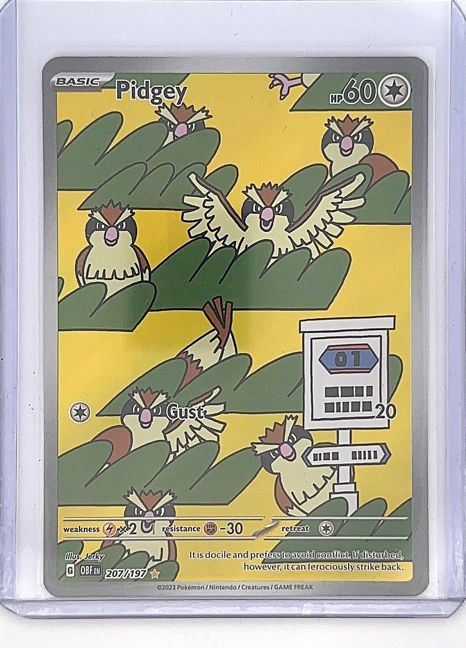 Pidgey - 207/197 #207/197 — front