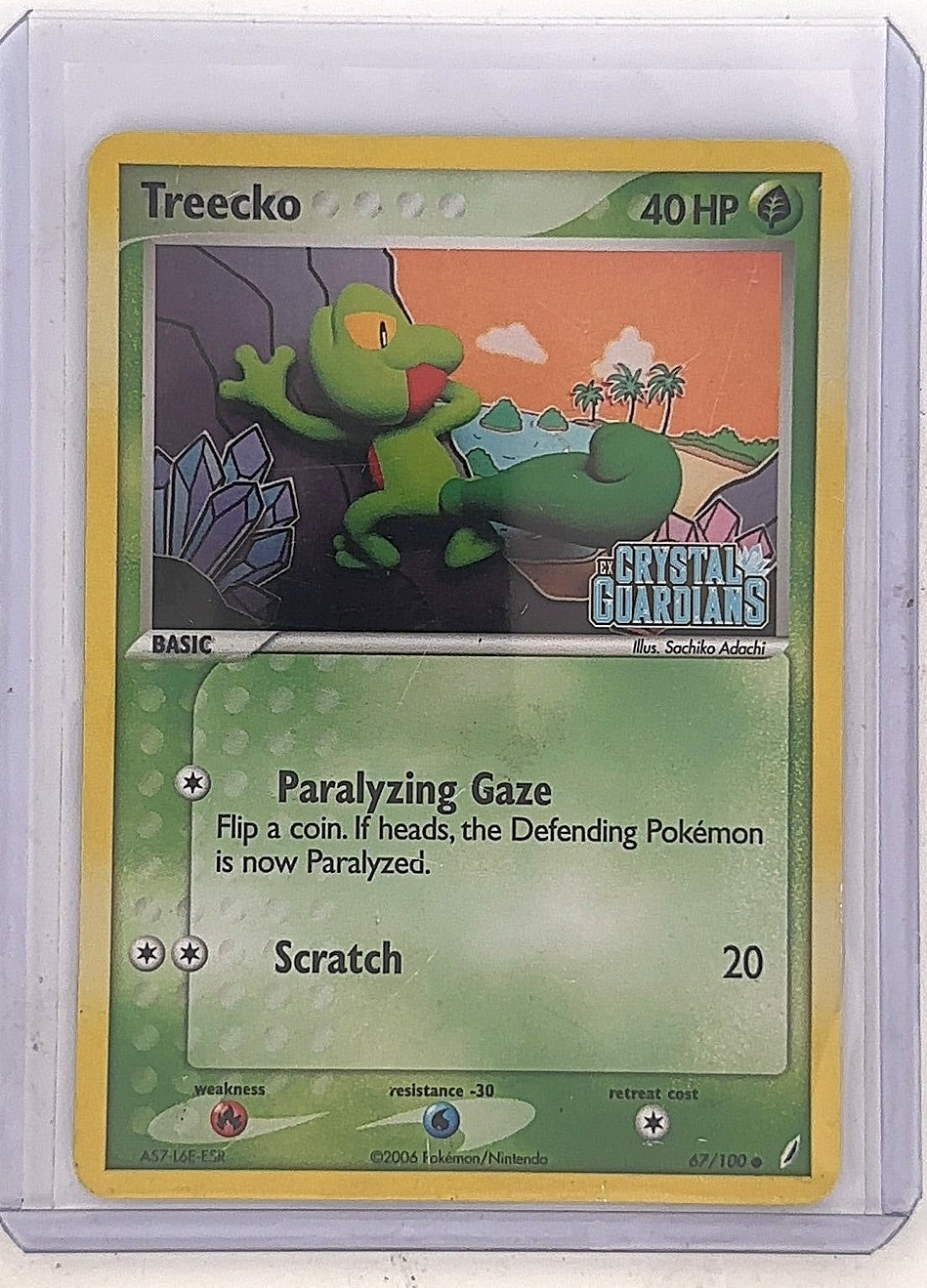 Treecko #67/100 — front