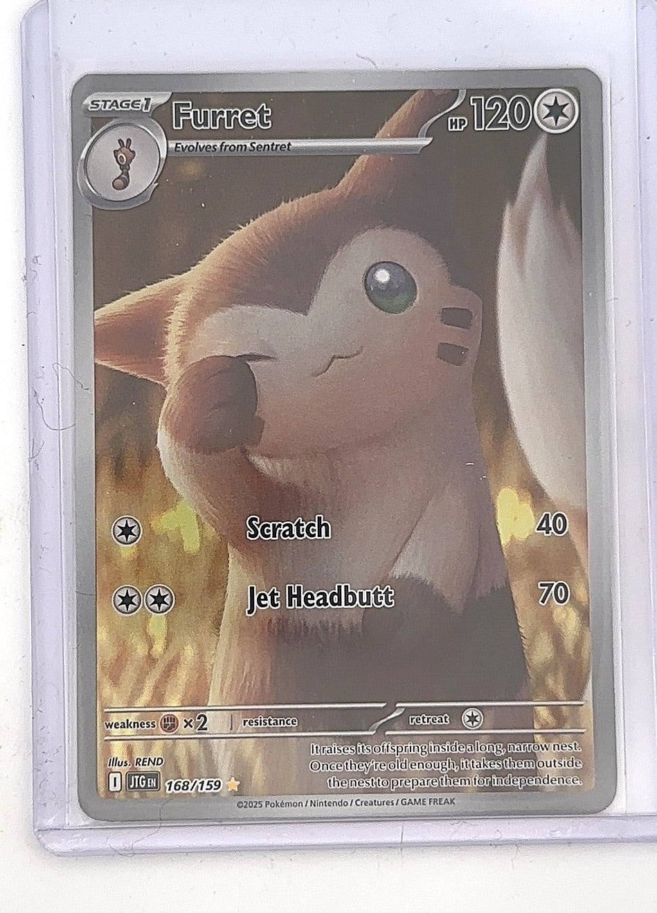 Furret - 168/159 #168/159 — front
