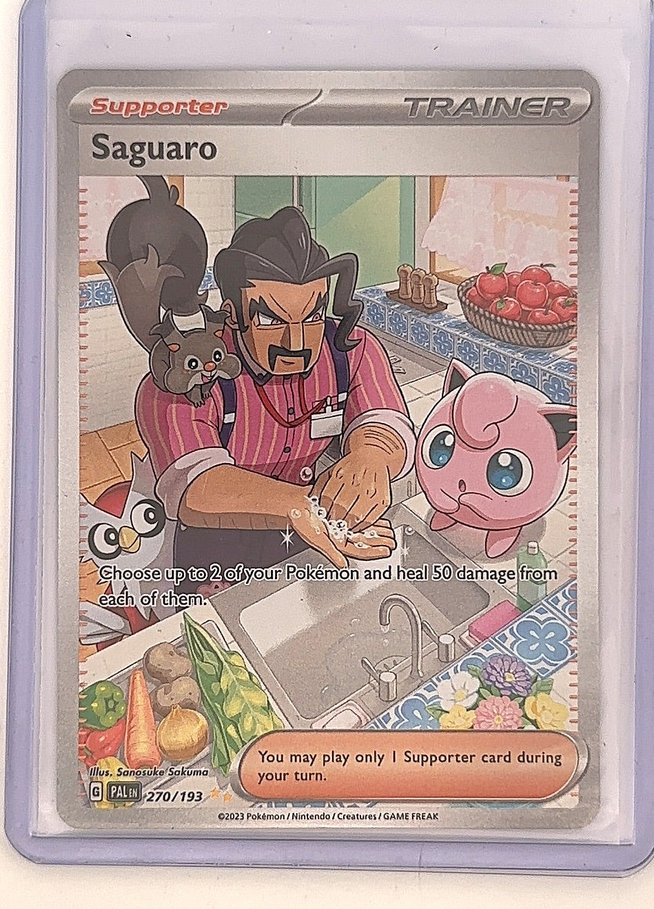 Saguaro - 270/193 #270/193 — front