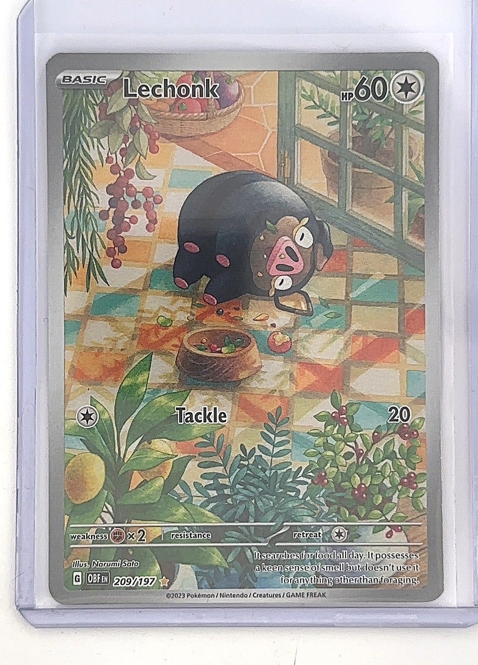 Lechonk - 209/197 #209/197 — front