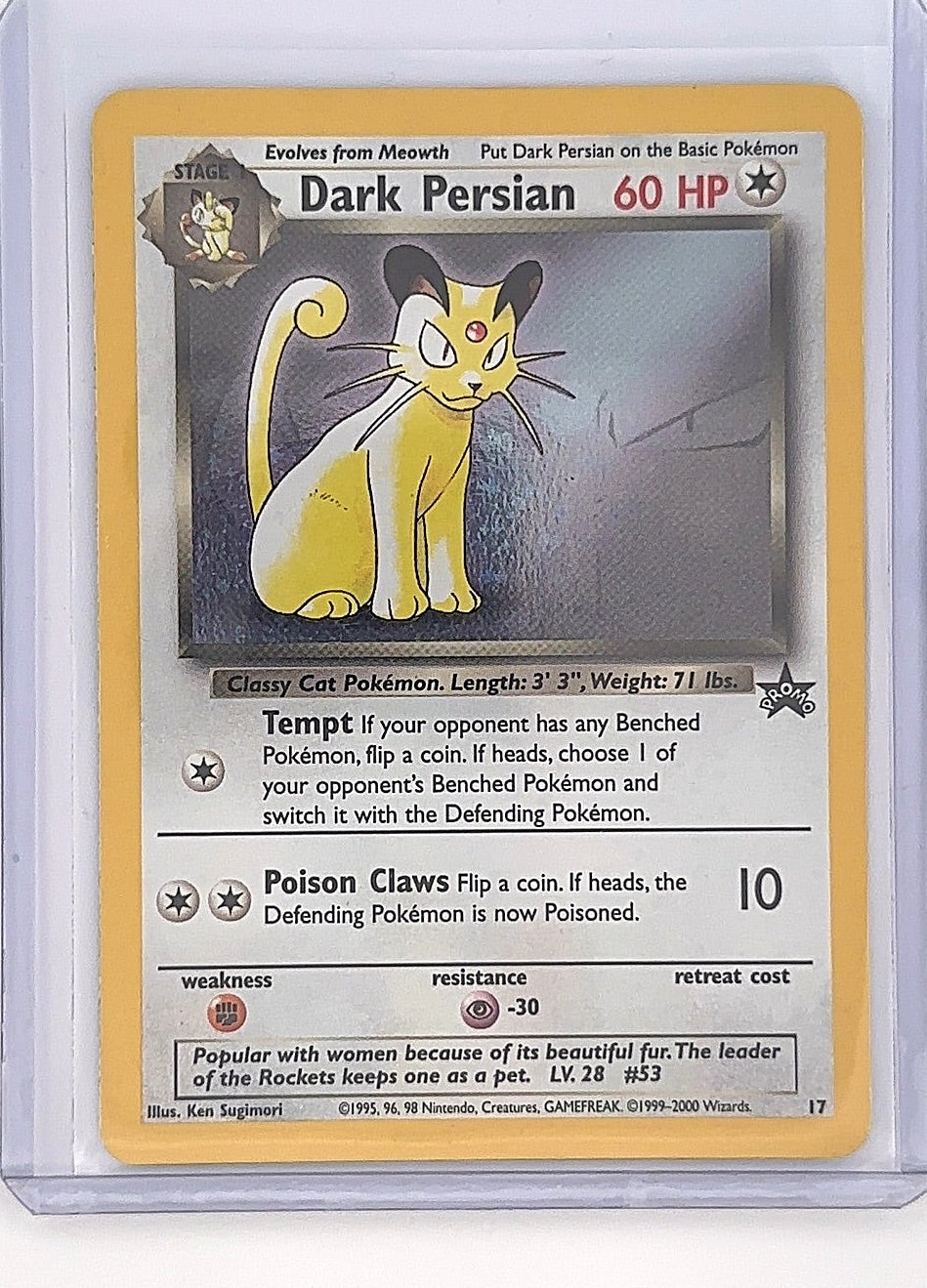 Dark Persian #17/53 — front