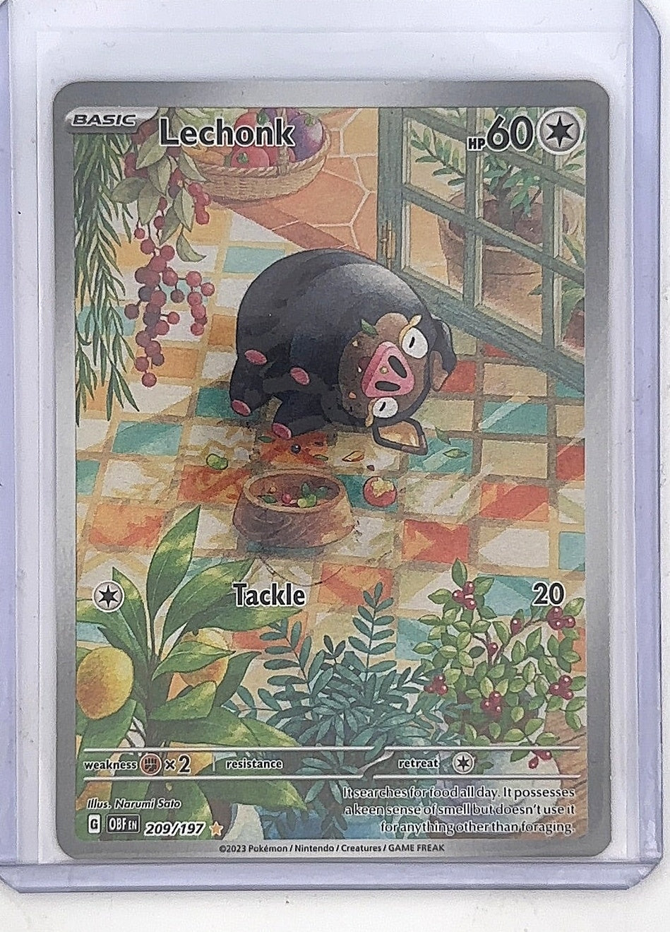 Lechonk - 209/197 #209/197 — front