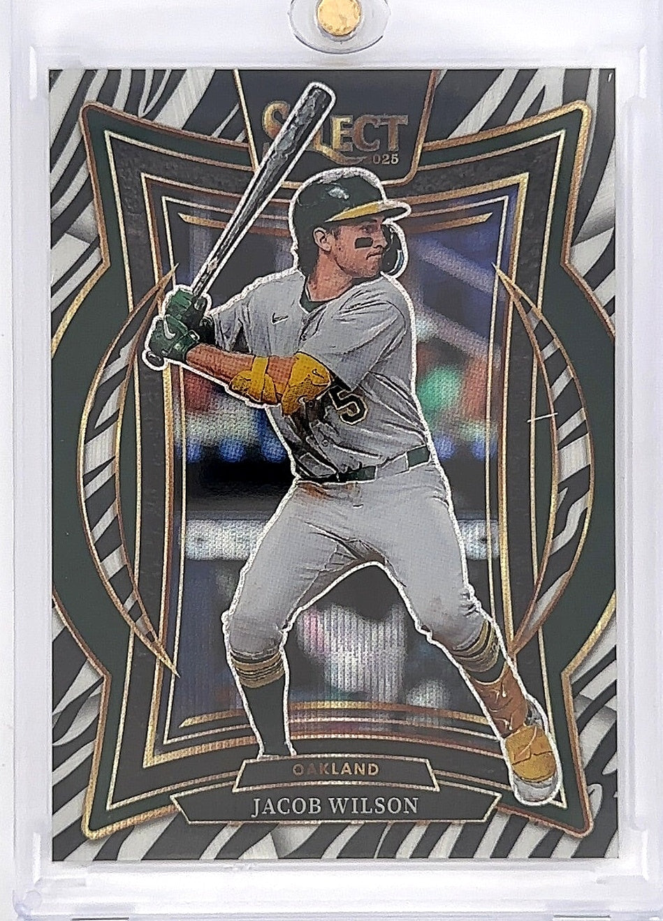 2025 Panini Select Jacob Wilson [Zebra] #56 — front