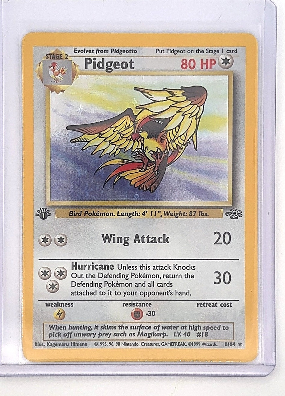 Pidgeot (8) #08/64 — front