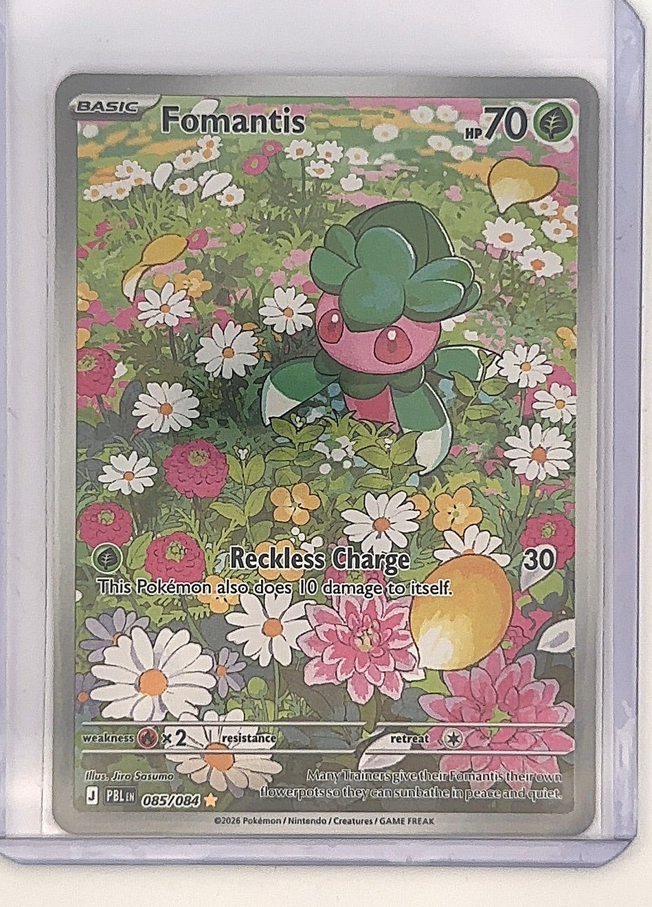 Fomantis - 085/084 #085/084 — front