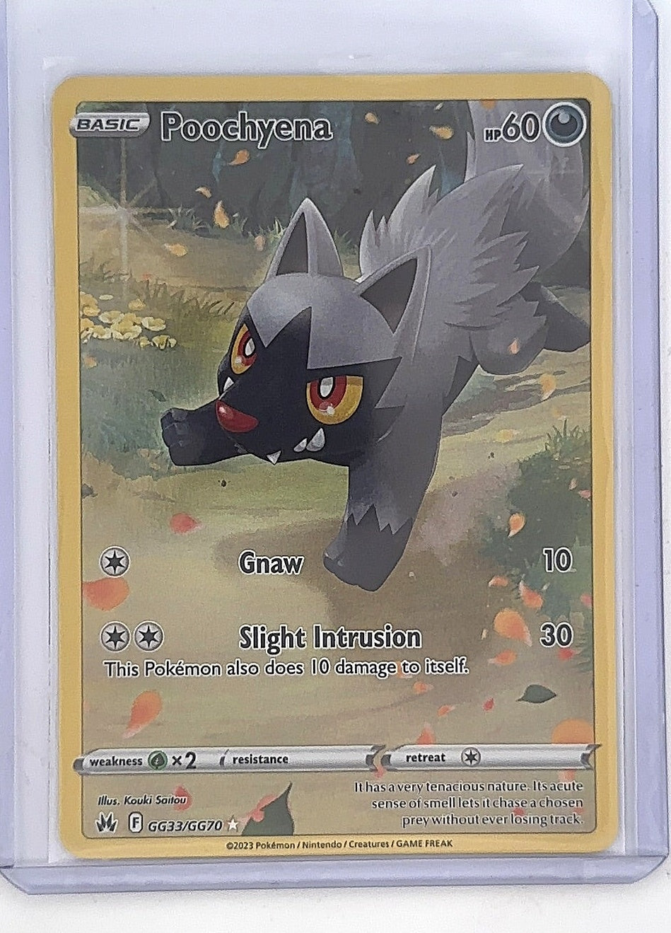 Poochyena #GG33/GG70 — front