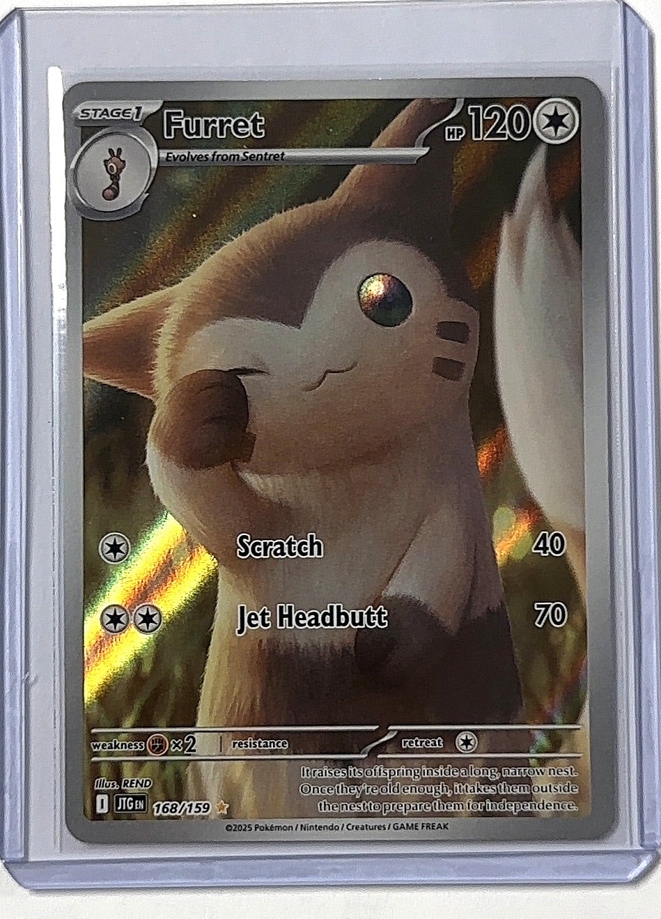 Furret - 168/159 #168/159 — front