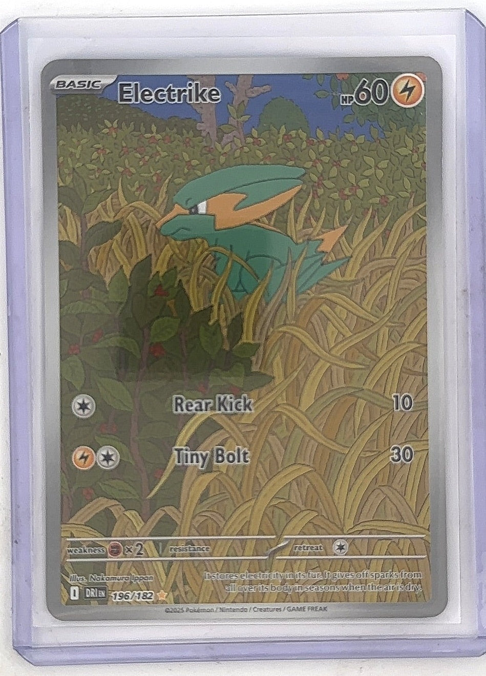 Electrike - 196/182 #196/182 — front