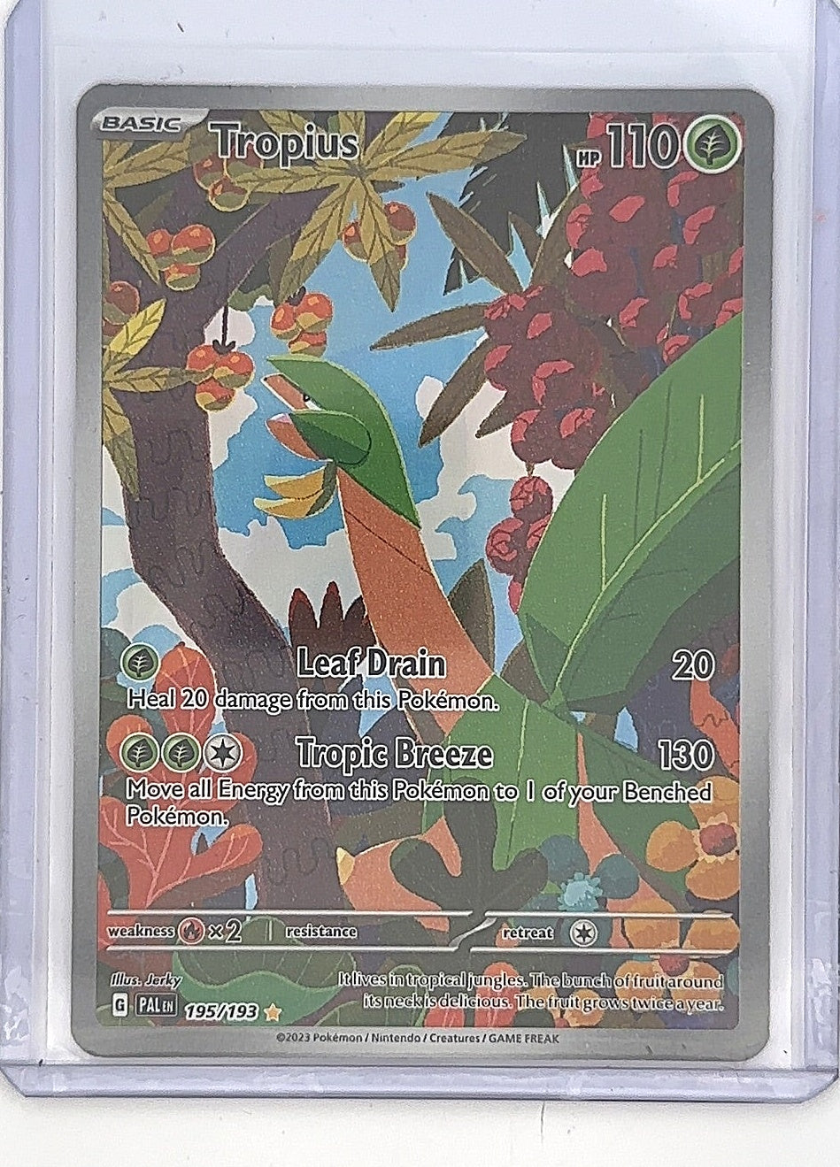 Tropius - 195/193 #195/193 — front