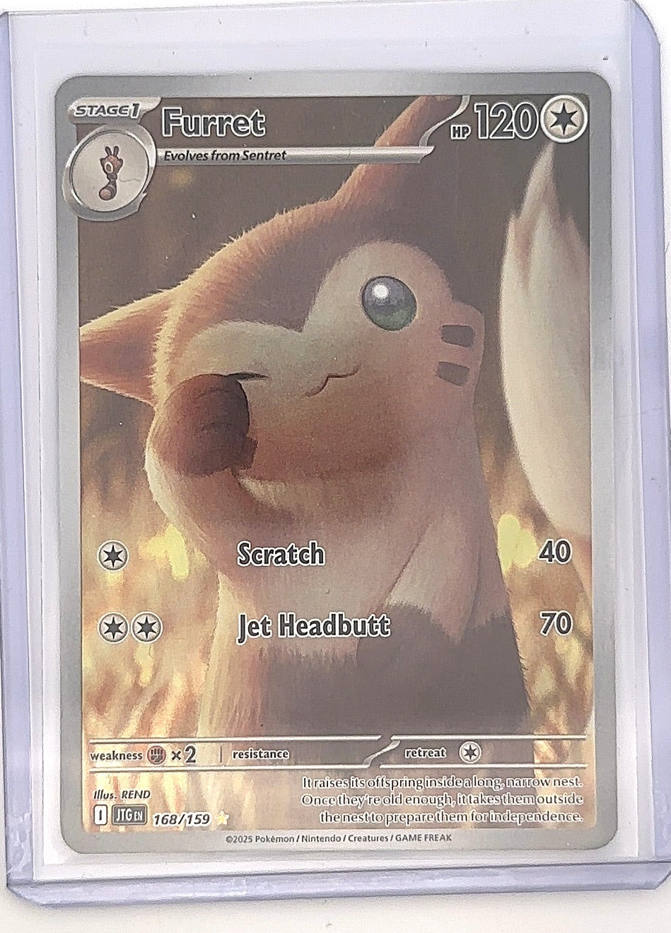 Furret - 168/159 #168/159 — front