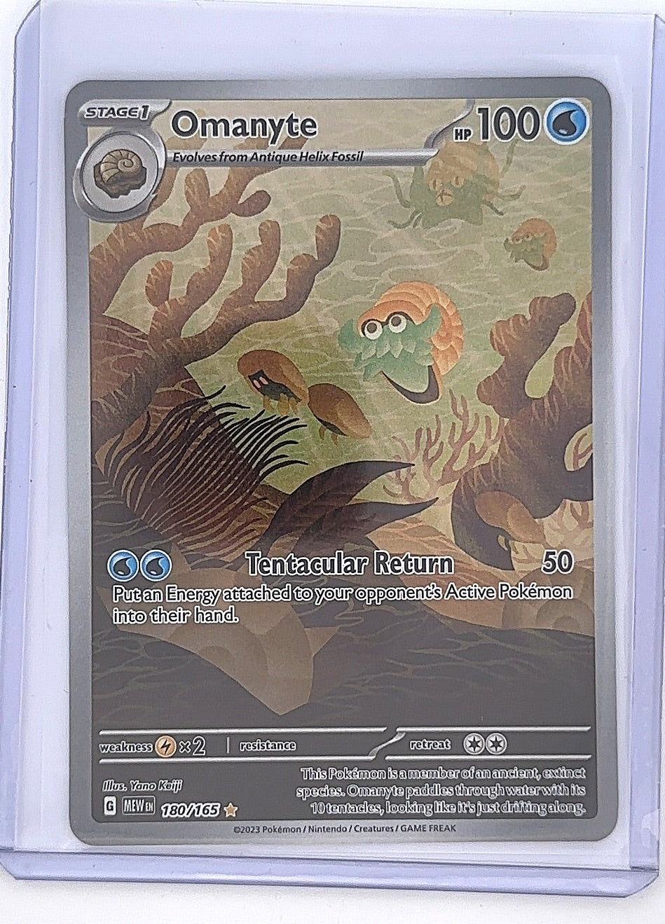Omanyte - 180/165 #180/165 — front