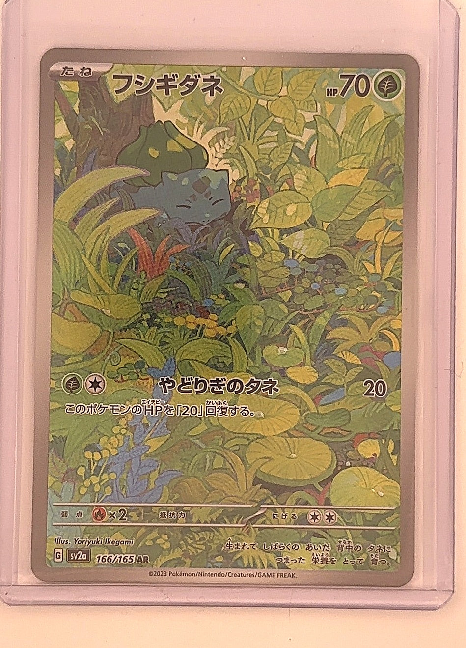 Bulbasaur - 166/165 #166/165 — front