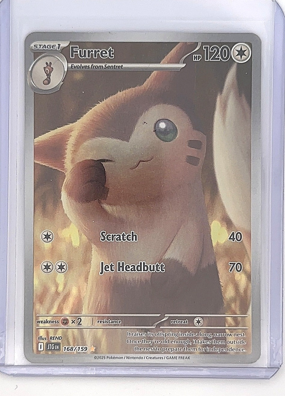 Furret - 168/159 #168/159 — front
