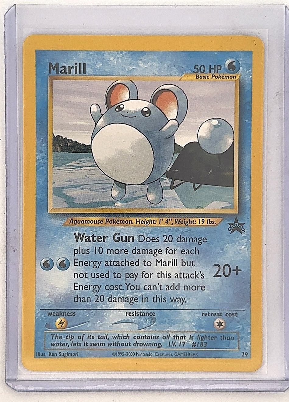 Marill #29/53 — front